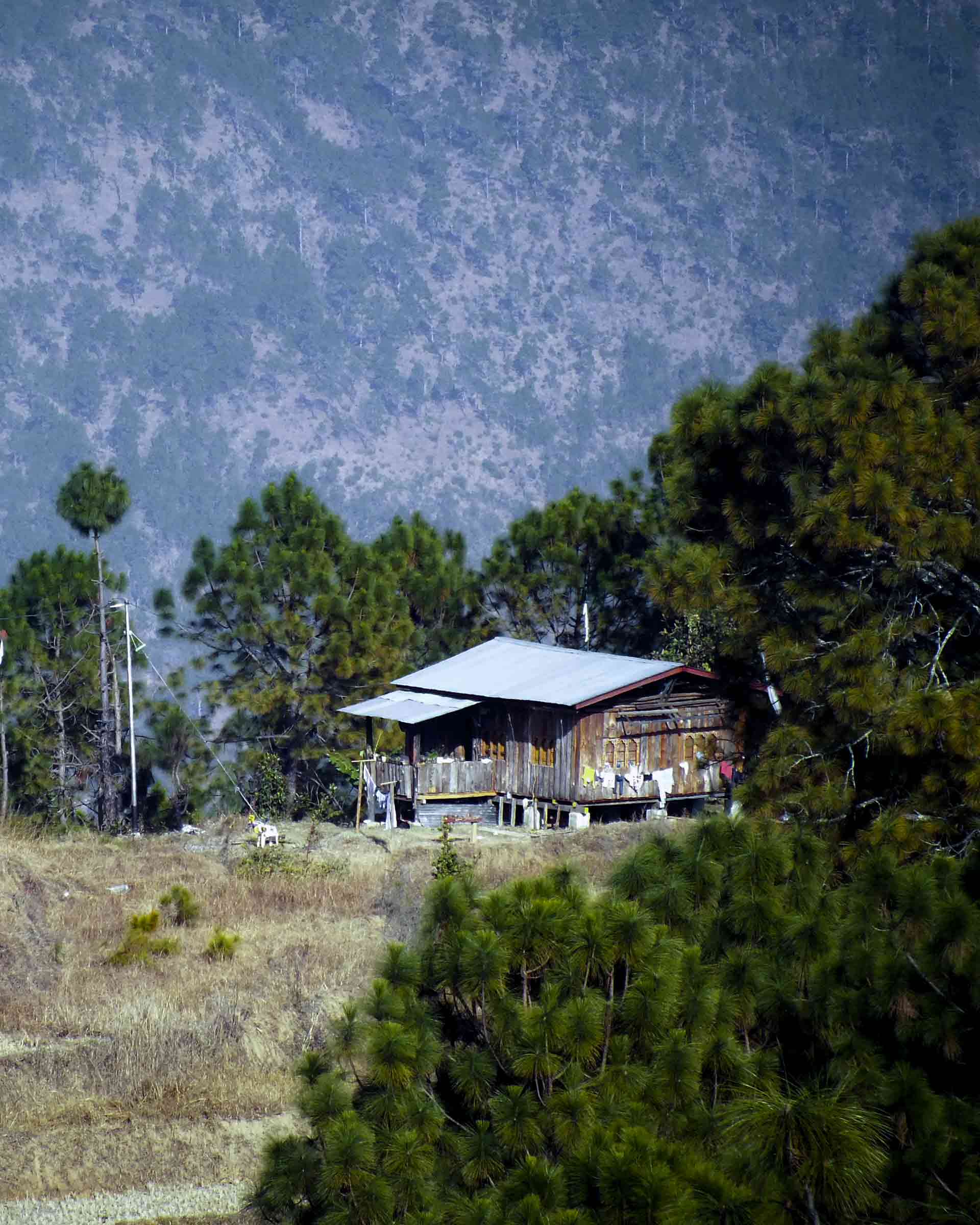 untold-Bhutan-cottage7777